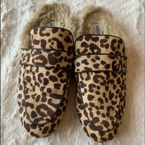 Steve Madden Leopard mules